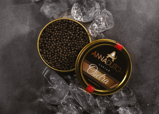 Osetra Caviar / Acipenser Gueldenstaedtii